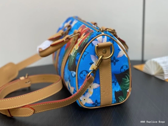 Aaa replica bags SPEEDY Vuitton 25 Louis 0825